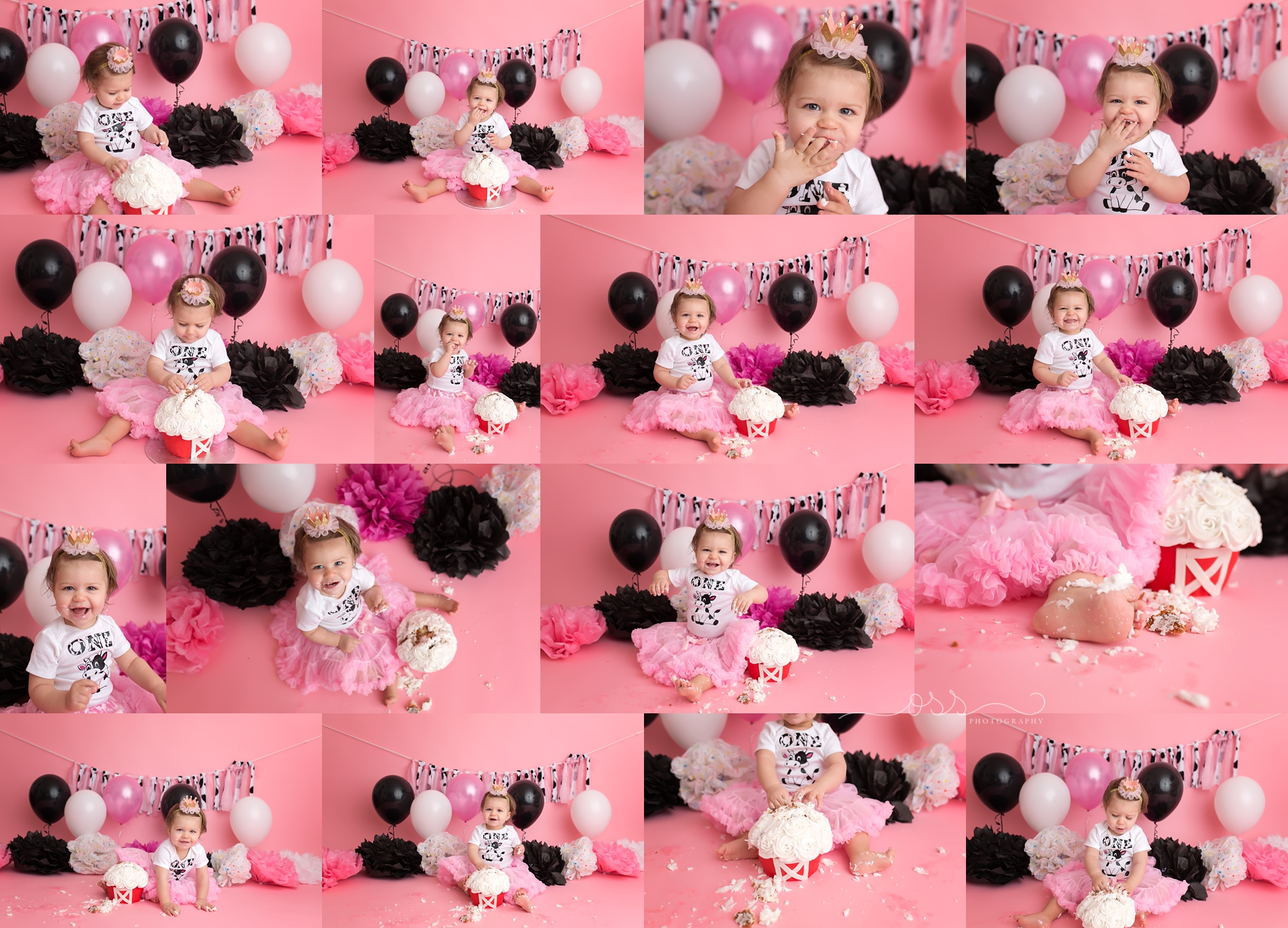 Cake Smash Ideas, Cake Smash Photographer, Niagara Baby Photographer, Cake Smash, Baby, One, Milestone Session, Baby PHotographer, Cake smash Photographer, Celebrate  